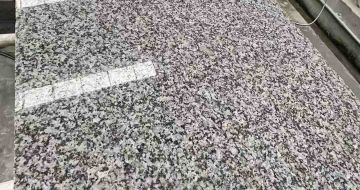 平凉 芙蓉白光面
