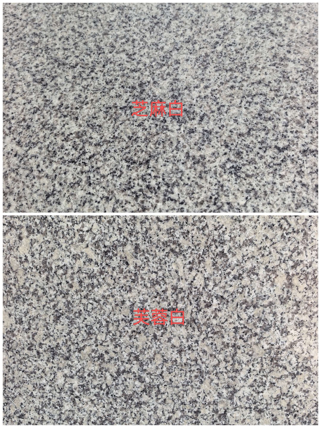 平凉 芝麻白和芙蓉白的区别