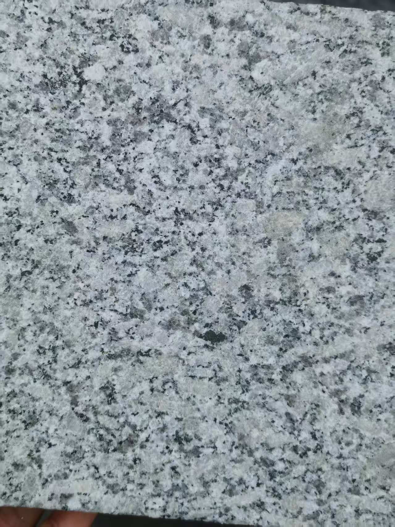 平凉 芙蓉白火烧面