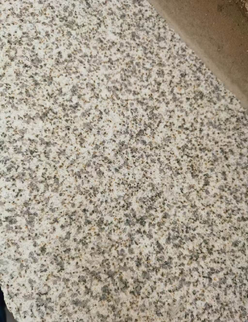 平凉 黄金麻中黄光面